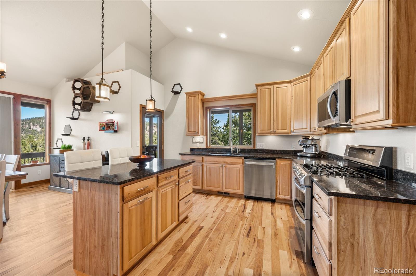 21 Hummingbird Court Bailey CO 80421