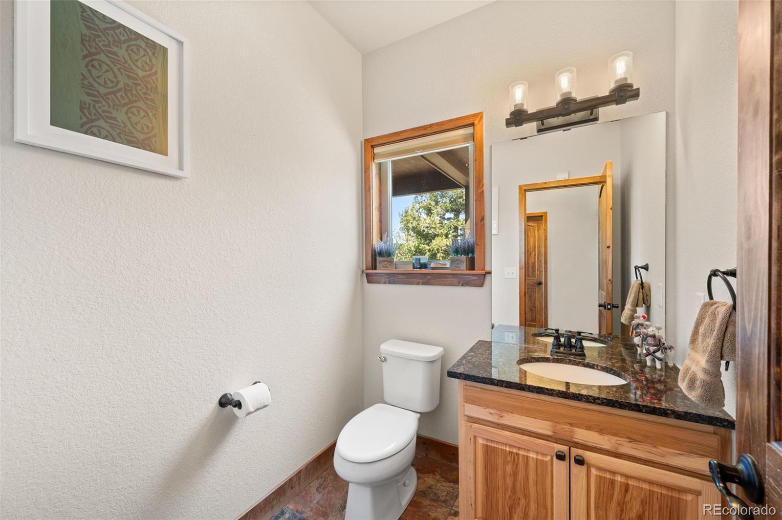 21 Hummingbird Court Bailey CO 80421