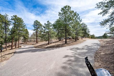 21 Hummingbird Court Bailey CO 80421