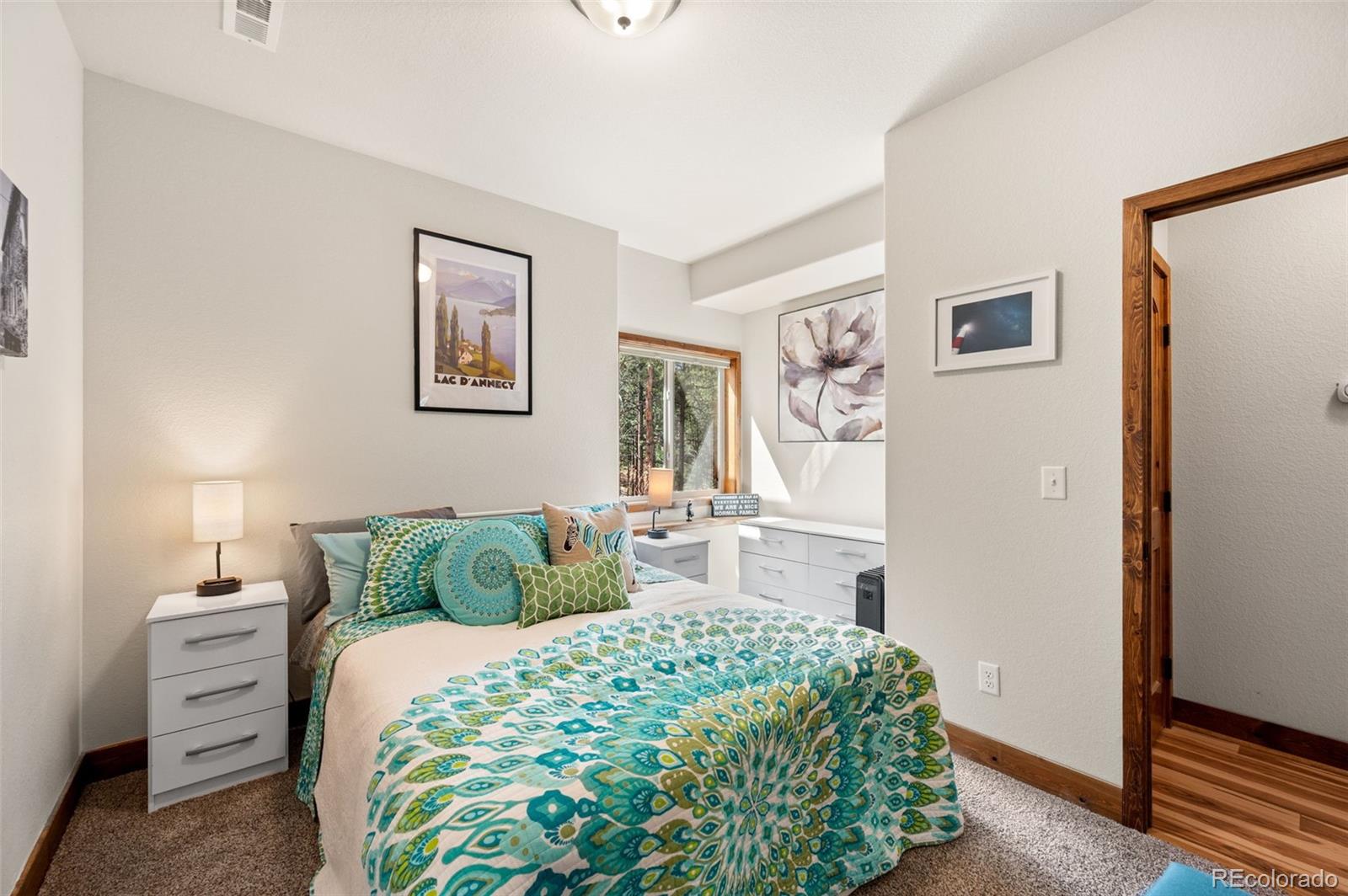 21 Hummingbird Court Bailey CO 80421