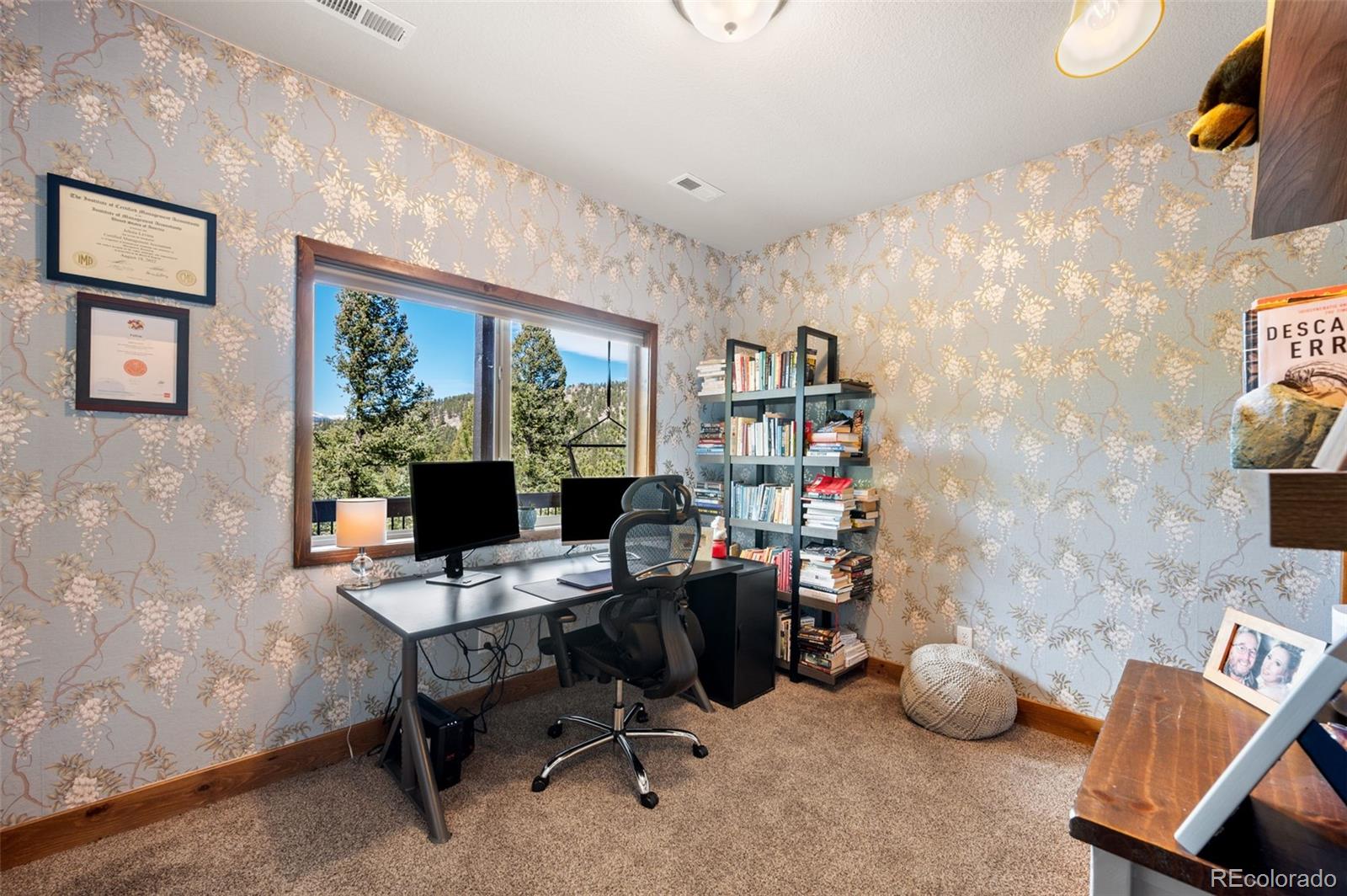 21 Hummingbird Court Bailey CO 80421