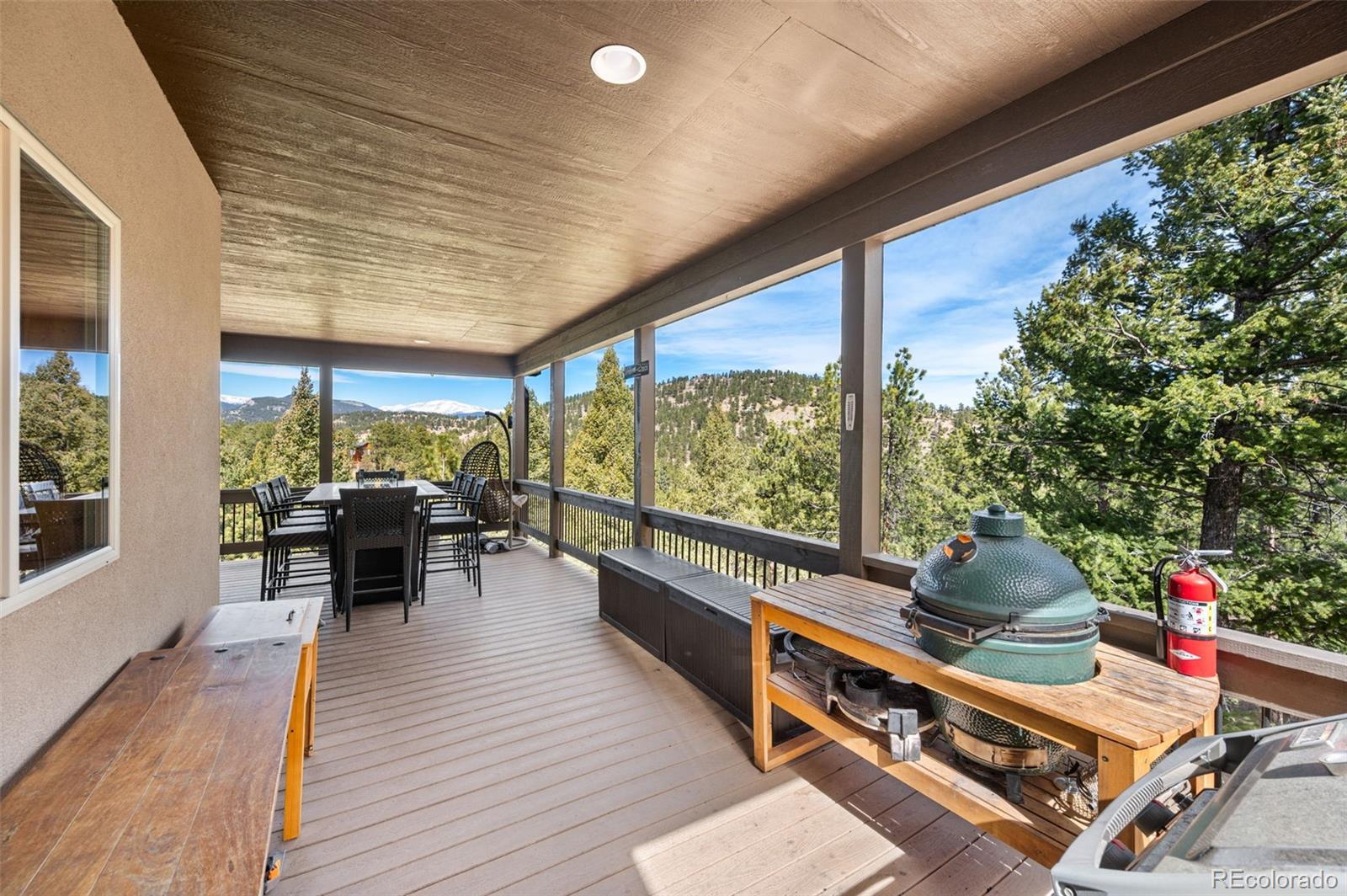 21 Hummingbird Court Bailey CO 80421