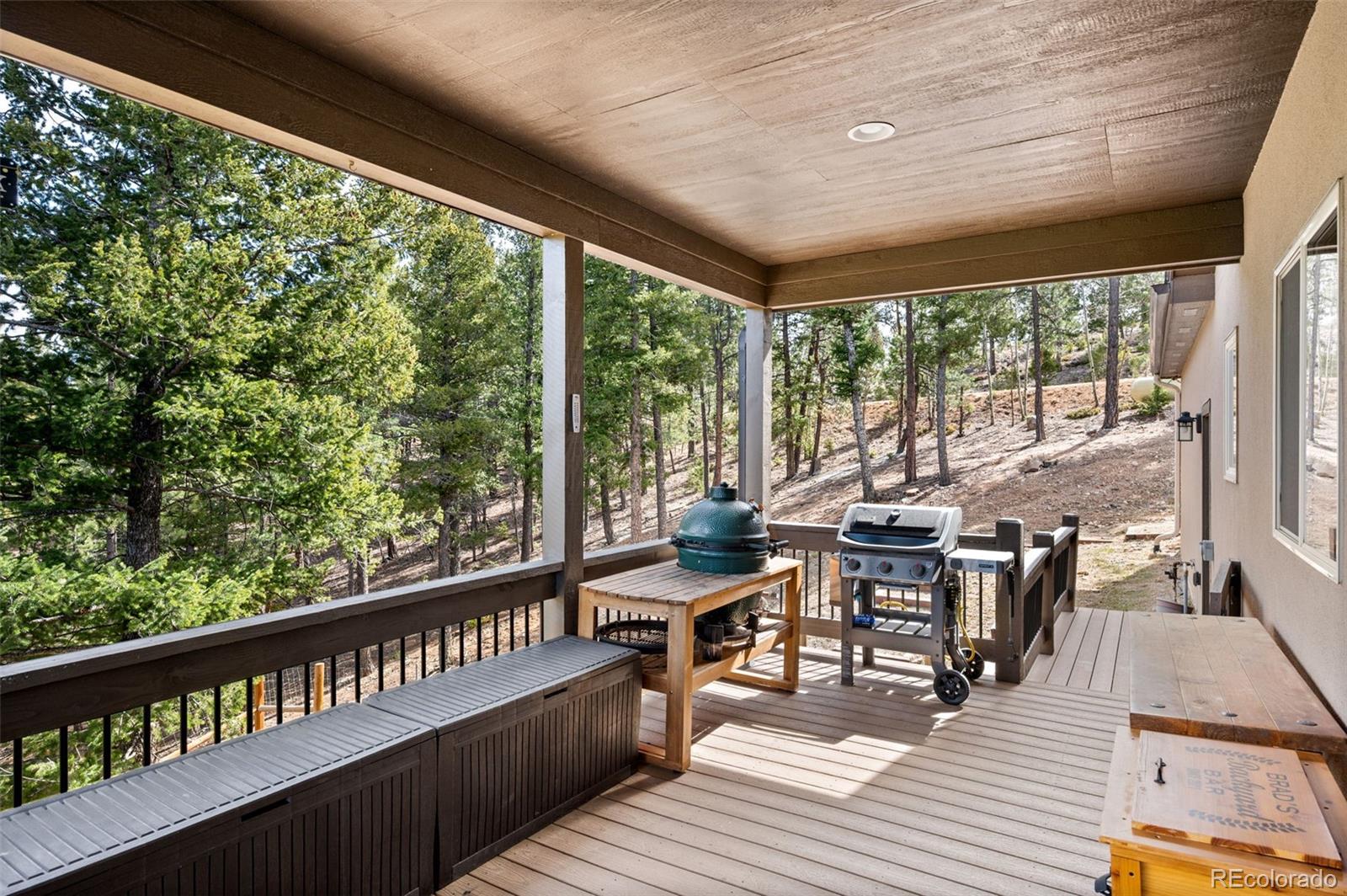 21 Hummingbird Court Bailey CO 80421