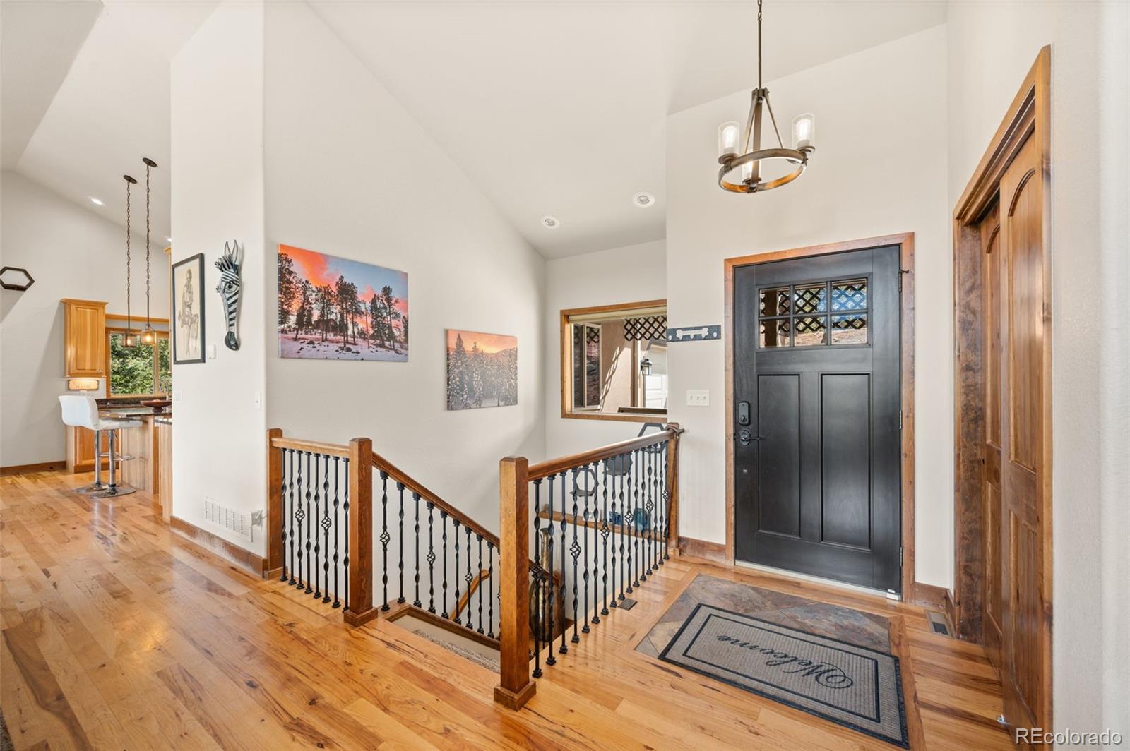 21 Hummingbird Court Bailey CO 80421