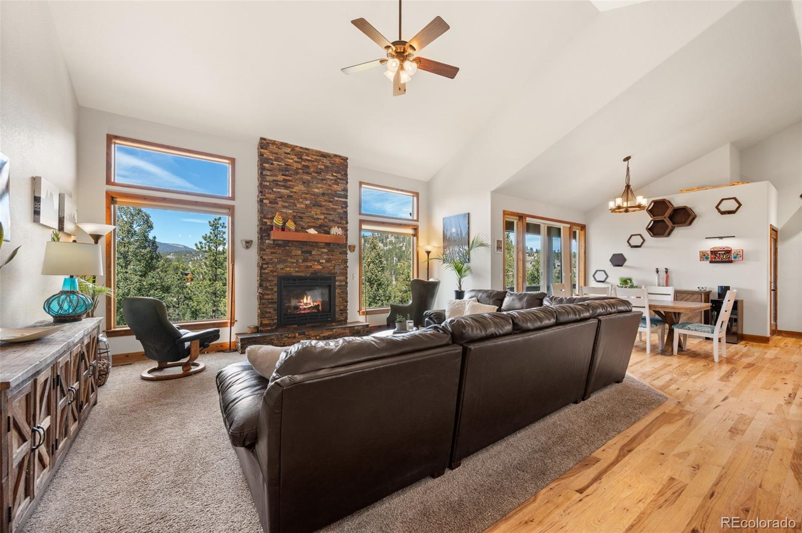 21 Hummingbird Court Bailey CO 80421