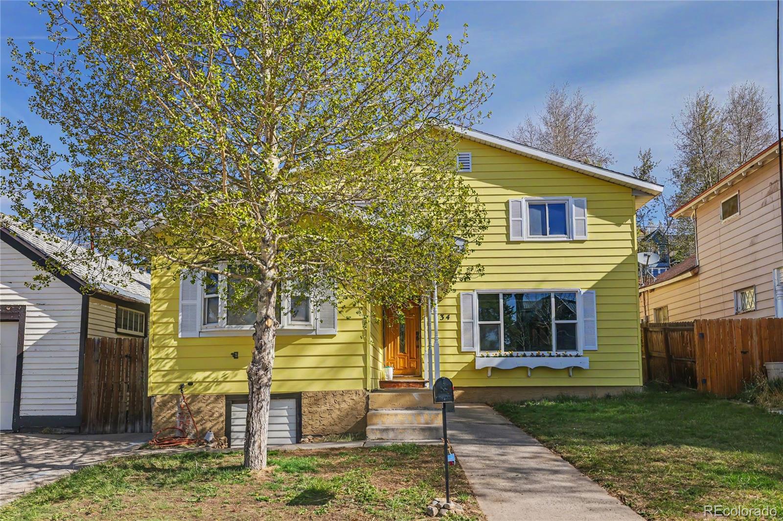 134 W 8th Street Leadville CO 80461