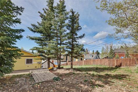 134 W 8th Street Leadville CO 80461