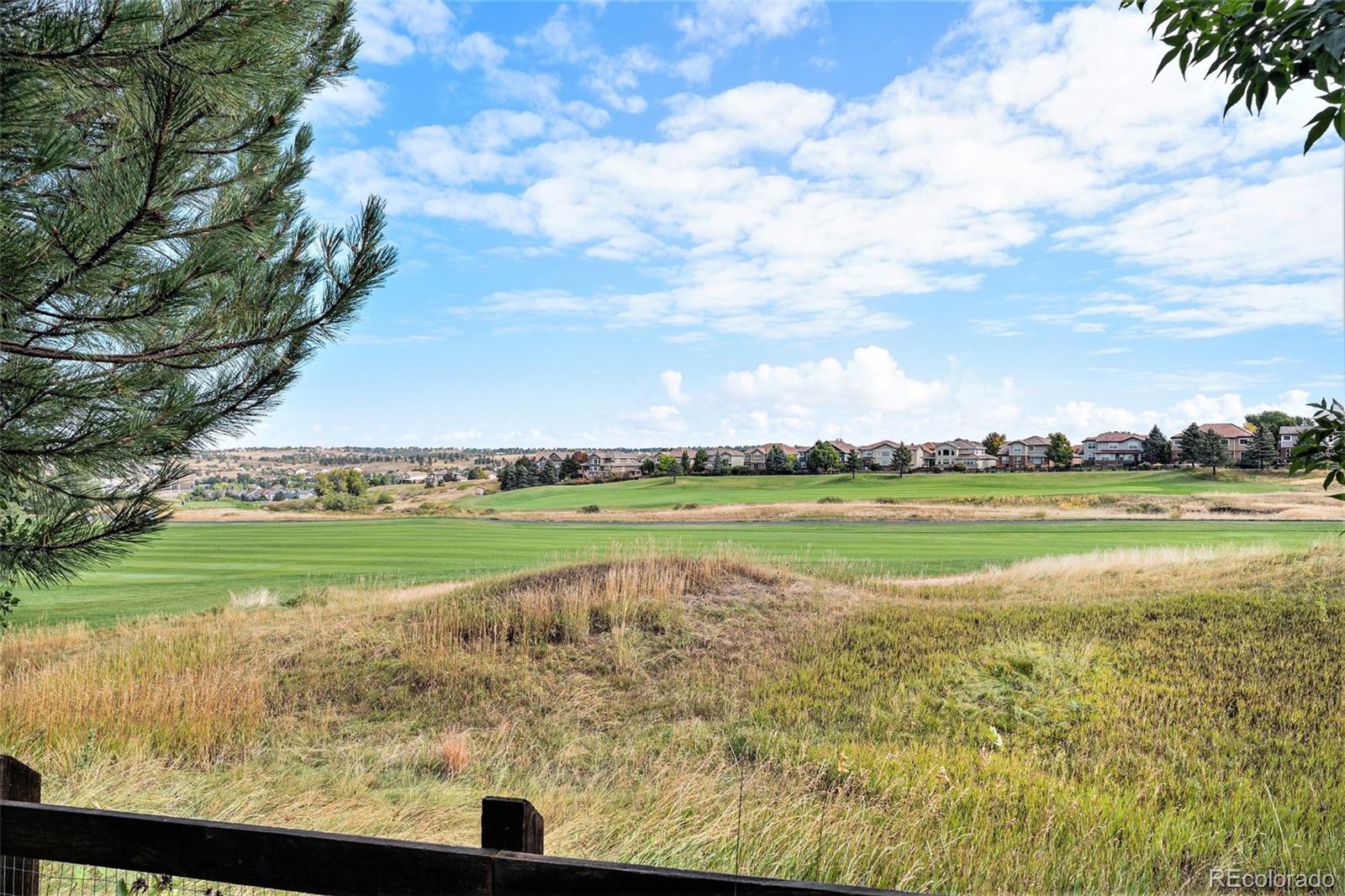 11788 Mill Valley Street Parker CO 80138