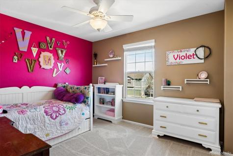 6284 Brantly Avenue Castle Rock CO 80104