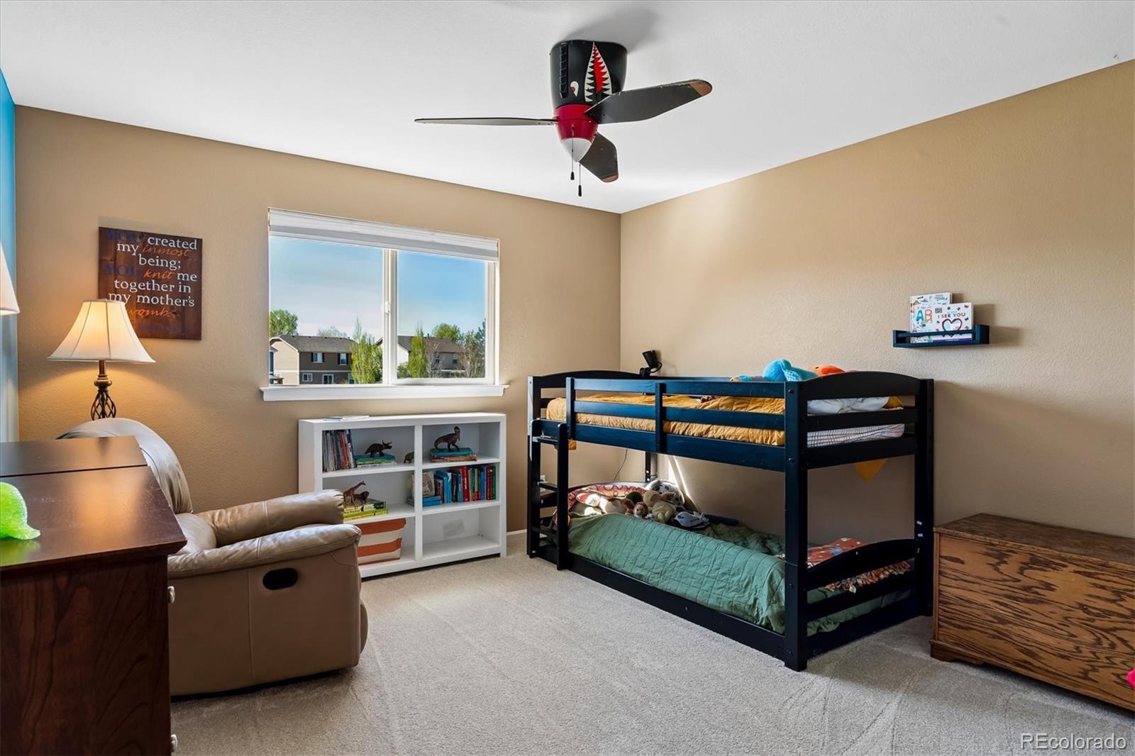 6284 Brantly Avenue Castle Rock CO 80104