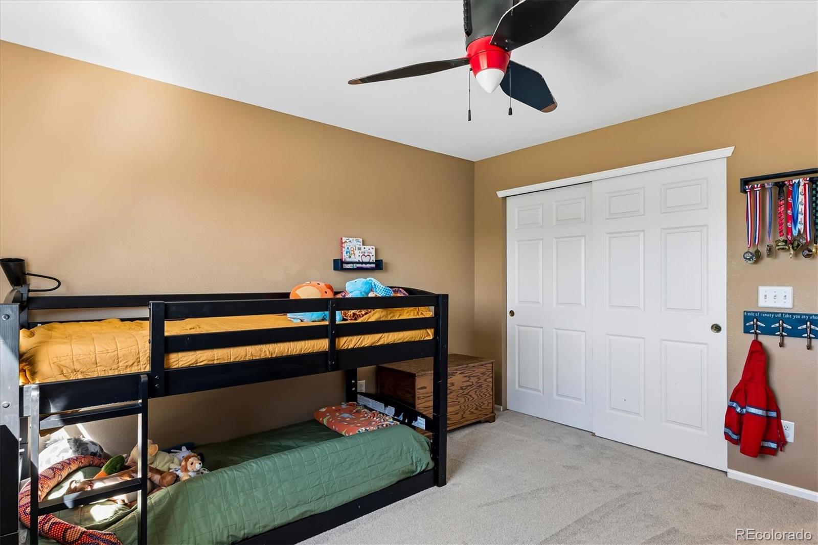 6284 Brantly Avenue Castle Rock CO 80104