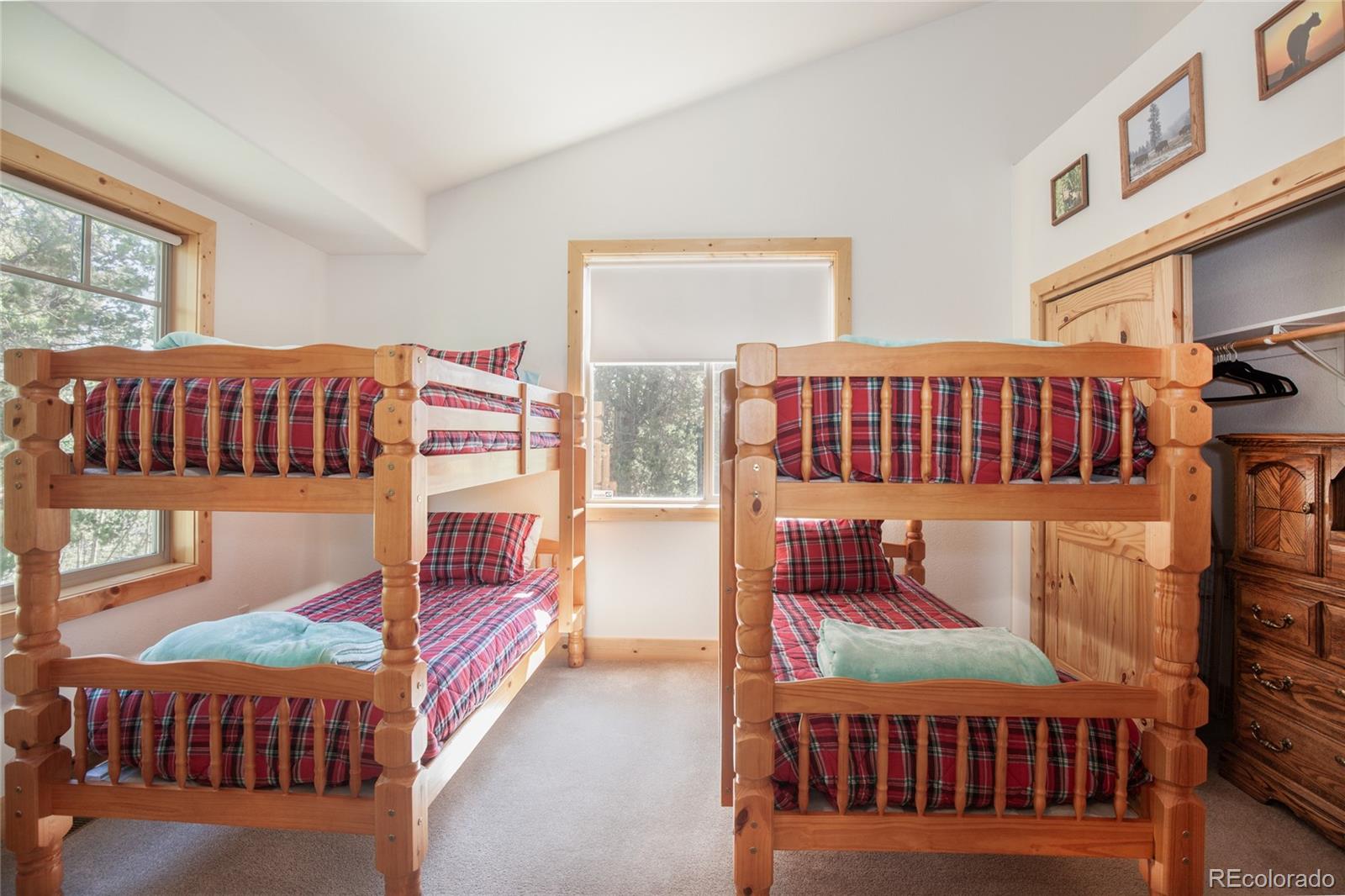 416 Foxtail Drive Fairplay CO 80440