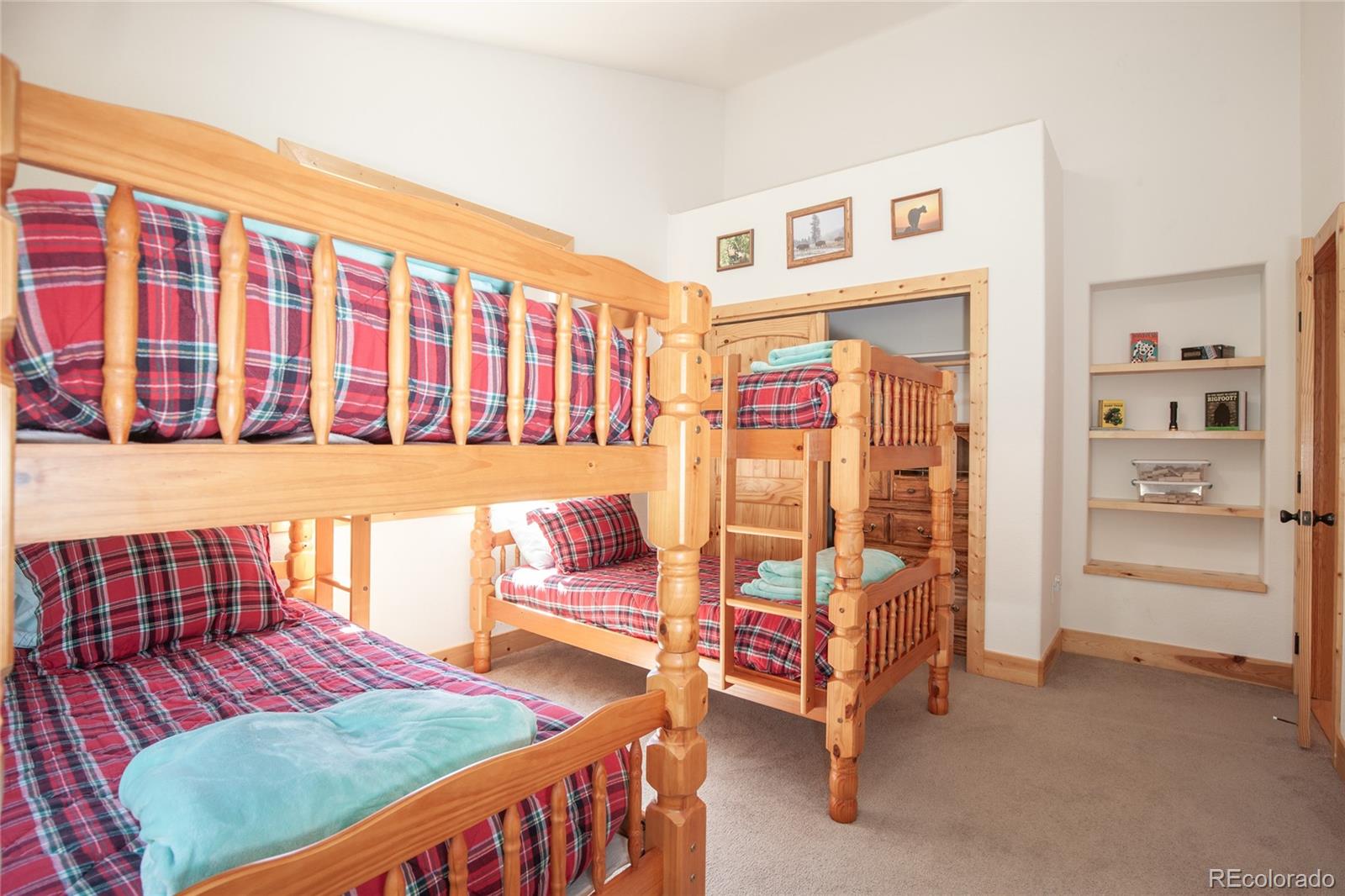 416 Foxtail Drive Fairplay CO 80440