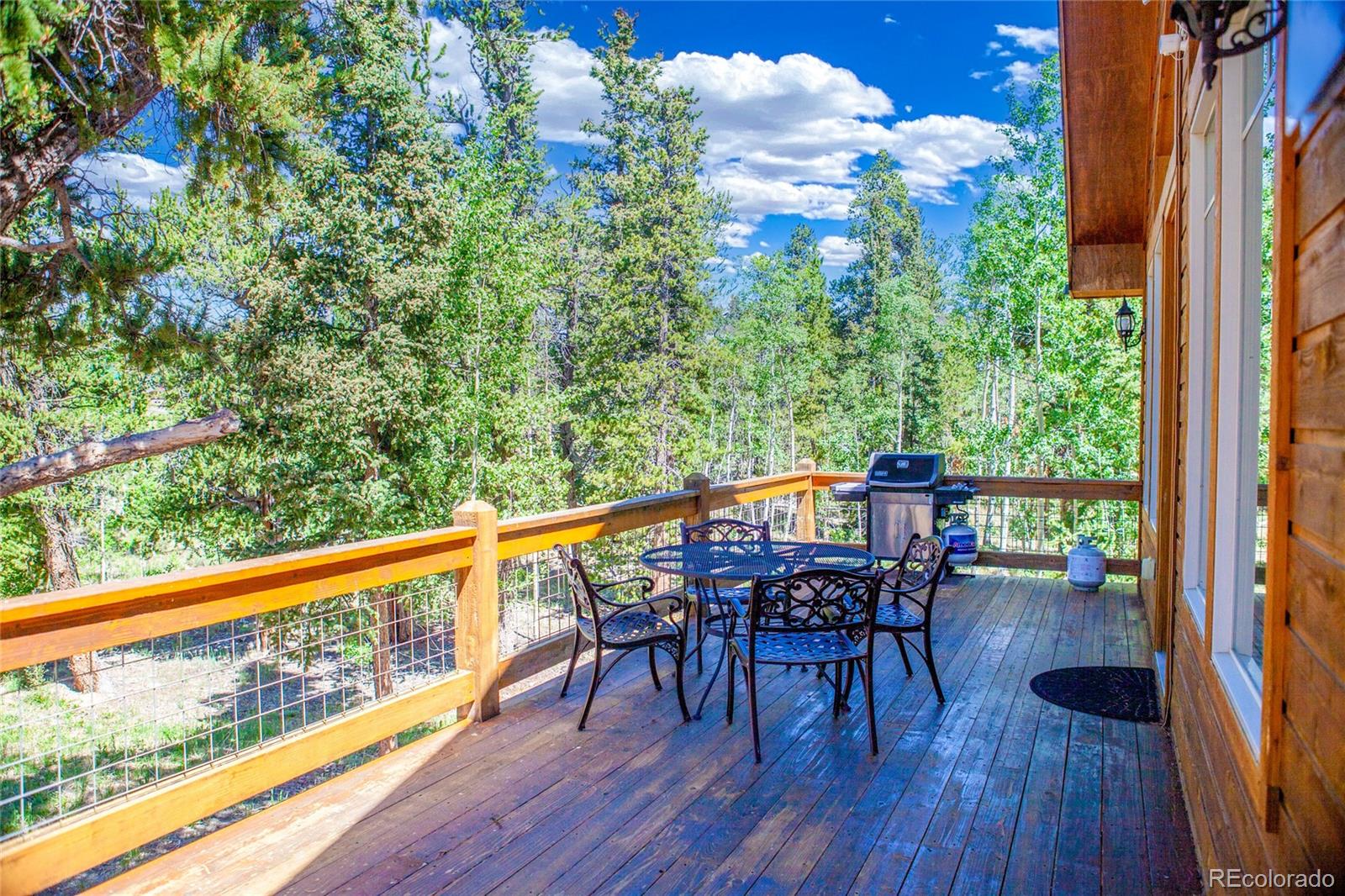 416 Foxtail Drive Fairplay CO 80440