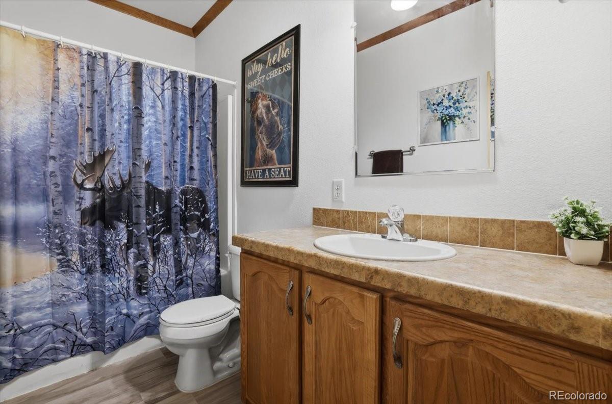 204 Crooked Creek Road Fairplay CO 80440
