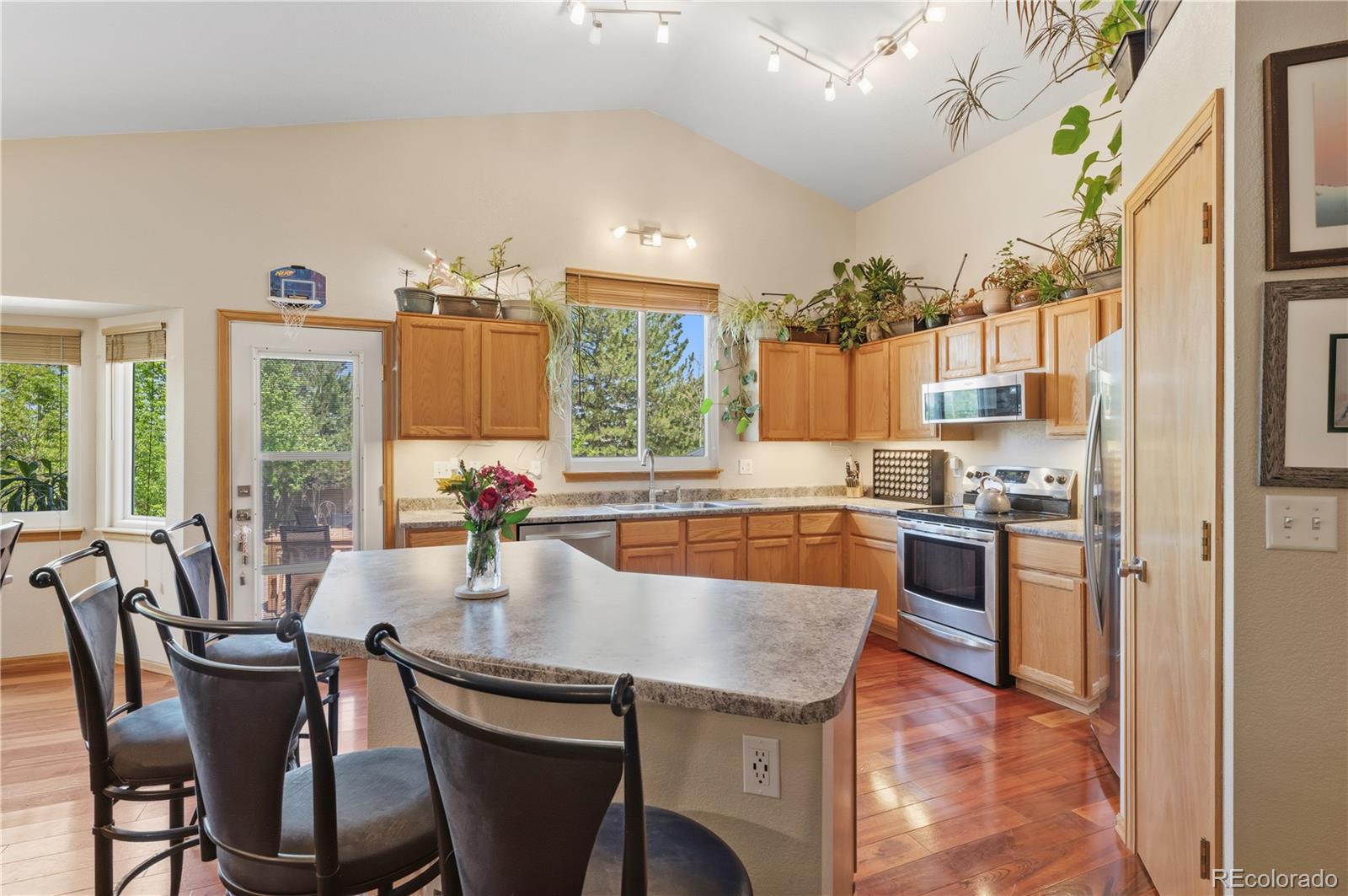 79 Red Oak Court Erie CO 80516
