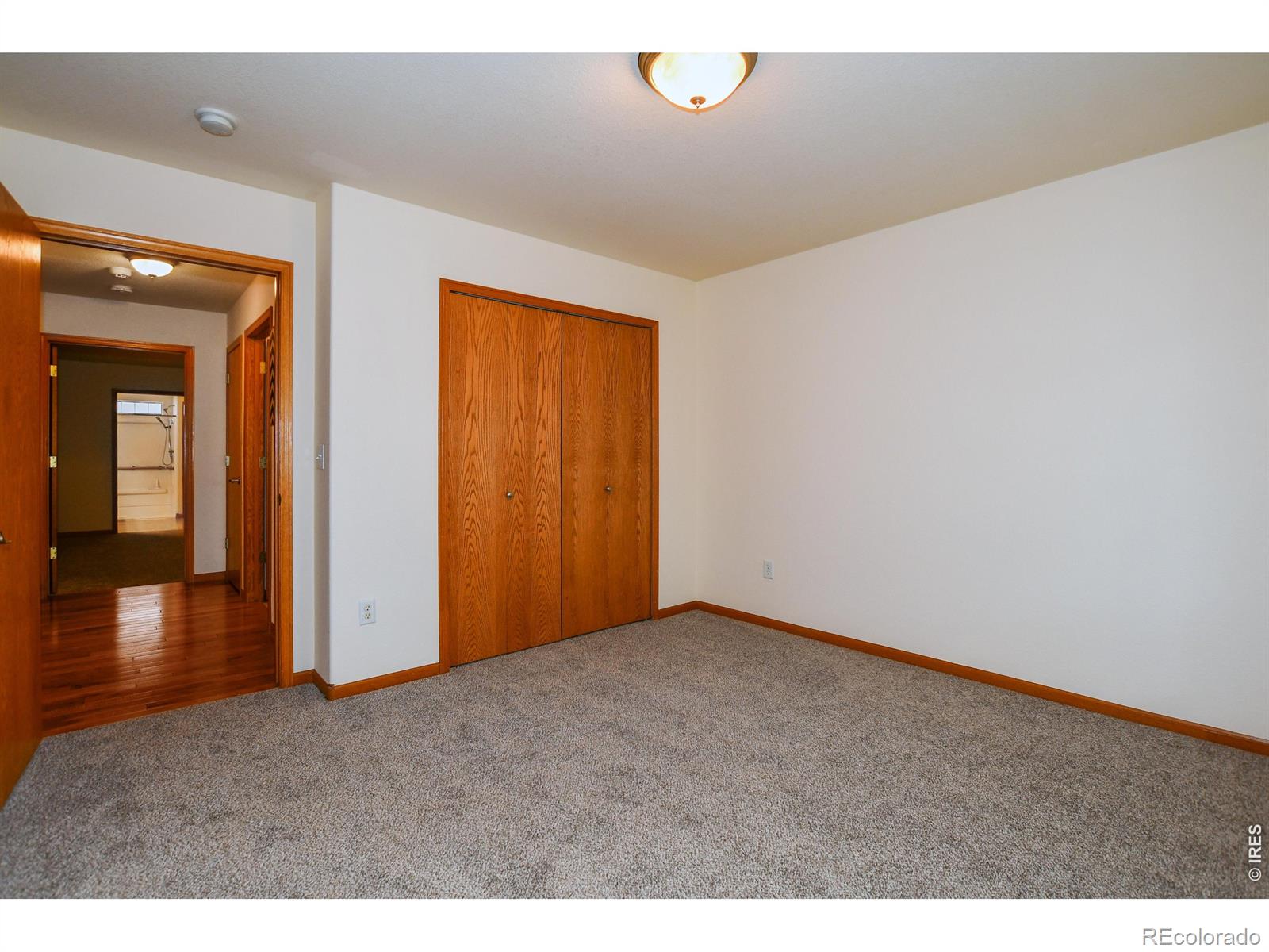 1505 Dryland Street Loveland CO 80538
