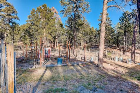 9920 Hodgen Road Colorado Springs CO 80908