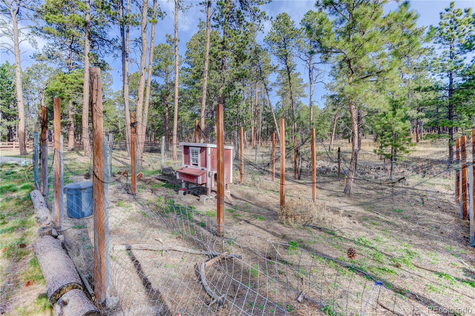 9920 Hodgen Road Colorado Springs CO 80908