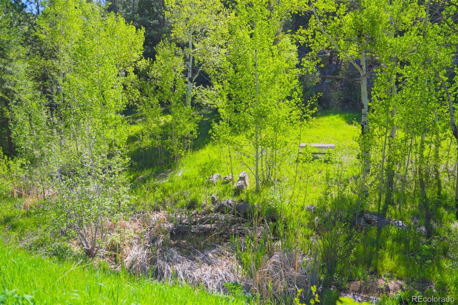 60 N County Highway 67 Sedalia CO 80135