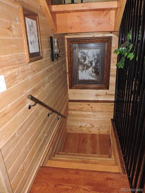 2137 Riccardo Lane Fort Garland CO 81133