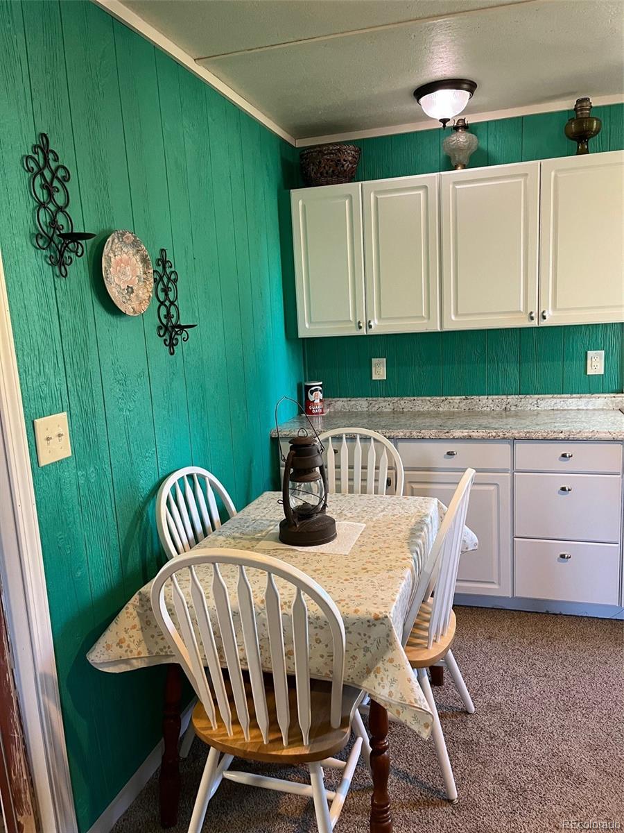 2137 Riccardo Lane Fort Garland CO 81133