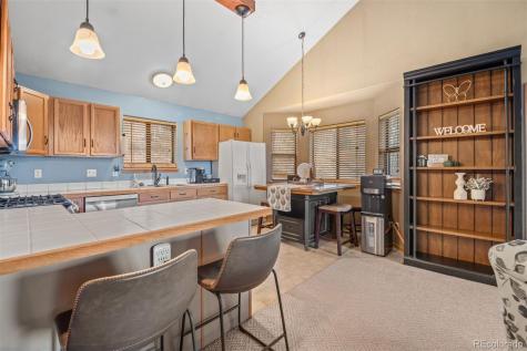 609 Gold Flake Terrace Bailey CO 80421