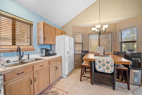 609 Gold Flake Terrace Bailey CO 80421