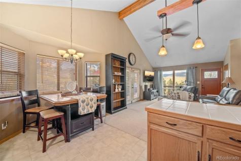 609 Gold Flake Terrace Bailey CO 80421