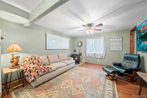 609 Gold Flake Terrace Bailey CO 80421