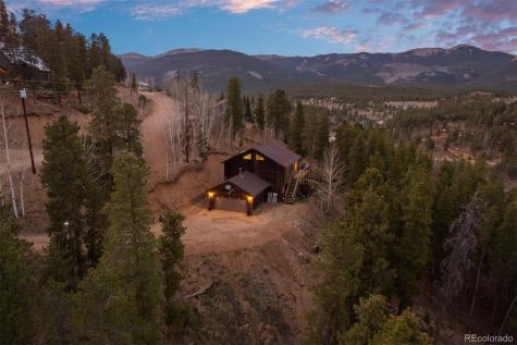 609 Gold Flake Terrace Bailey CO 80421