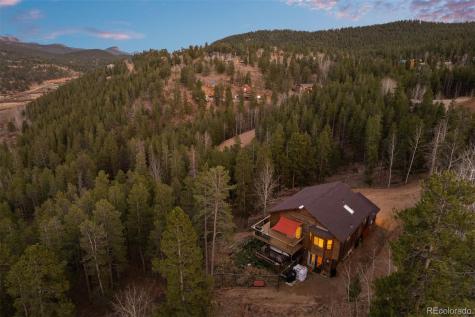 609 Gold Flake Terrace Bailey CO 80421