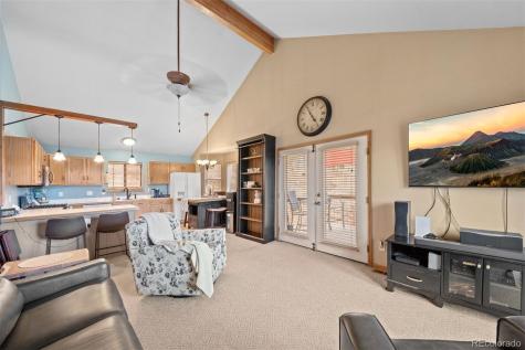 609 Gold Flake Terrace Bailey CO 80421