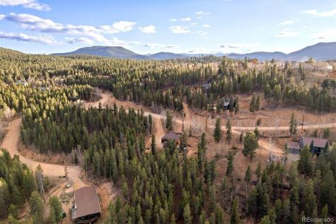 609 Gold Flake Terrace Bailey CO 80421