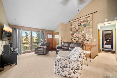 609 Gold Flake Terrace Bailey CO 80421