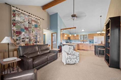 609 Gold Flake Terrace Bailey CO 80421