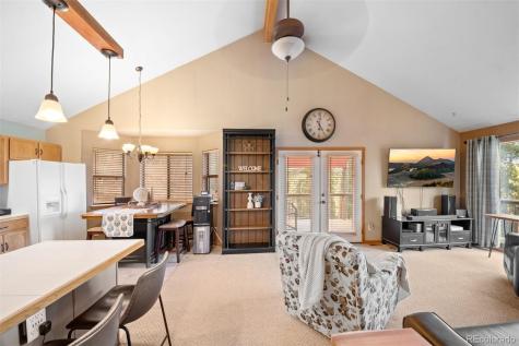 609 Gold Flake Terrace Bailey CO 80421