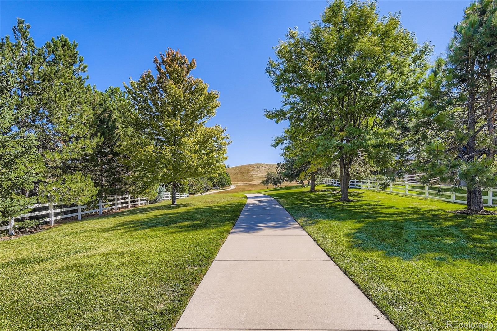 7923 Witney Place Lone Tree CO 80124