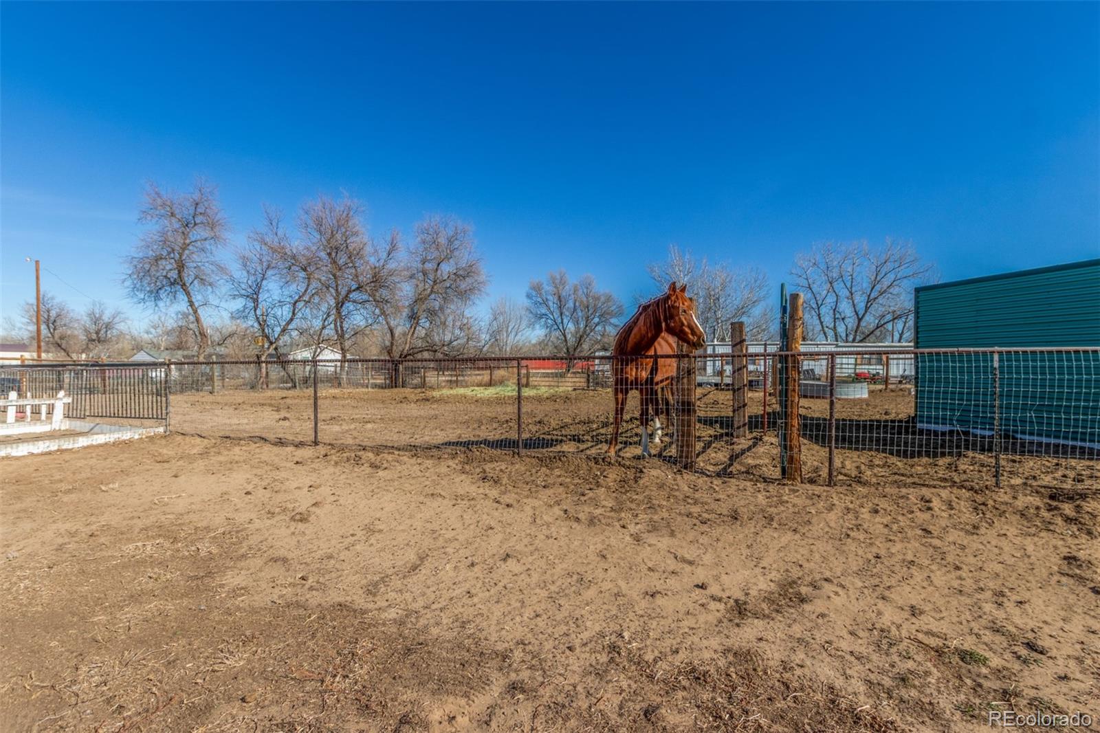 15528 Nancy Avenue Fort Lupton CO 80621