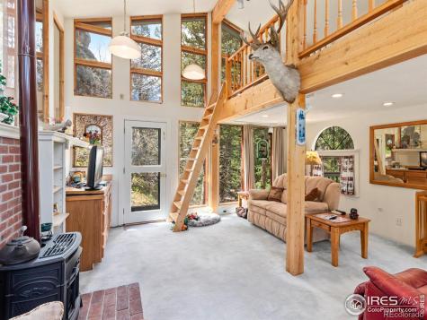 1134 Highway 7 Business Allenspark CO 80510