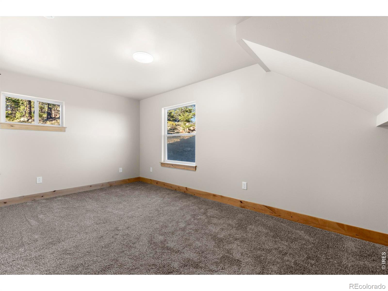 1074 Caddo Road Red Feather Lakes CO 80545