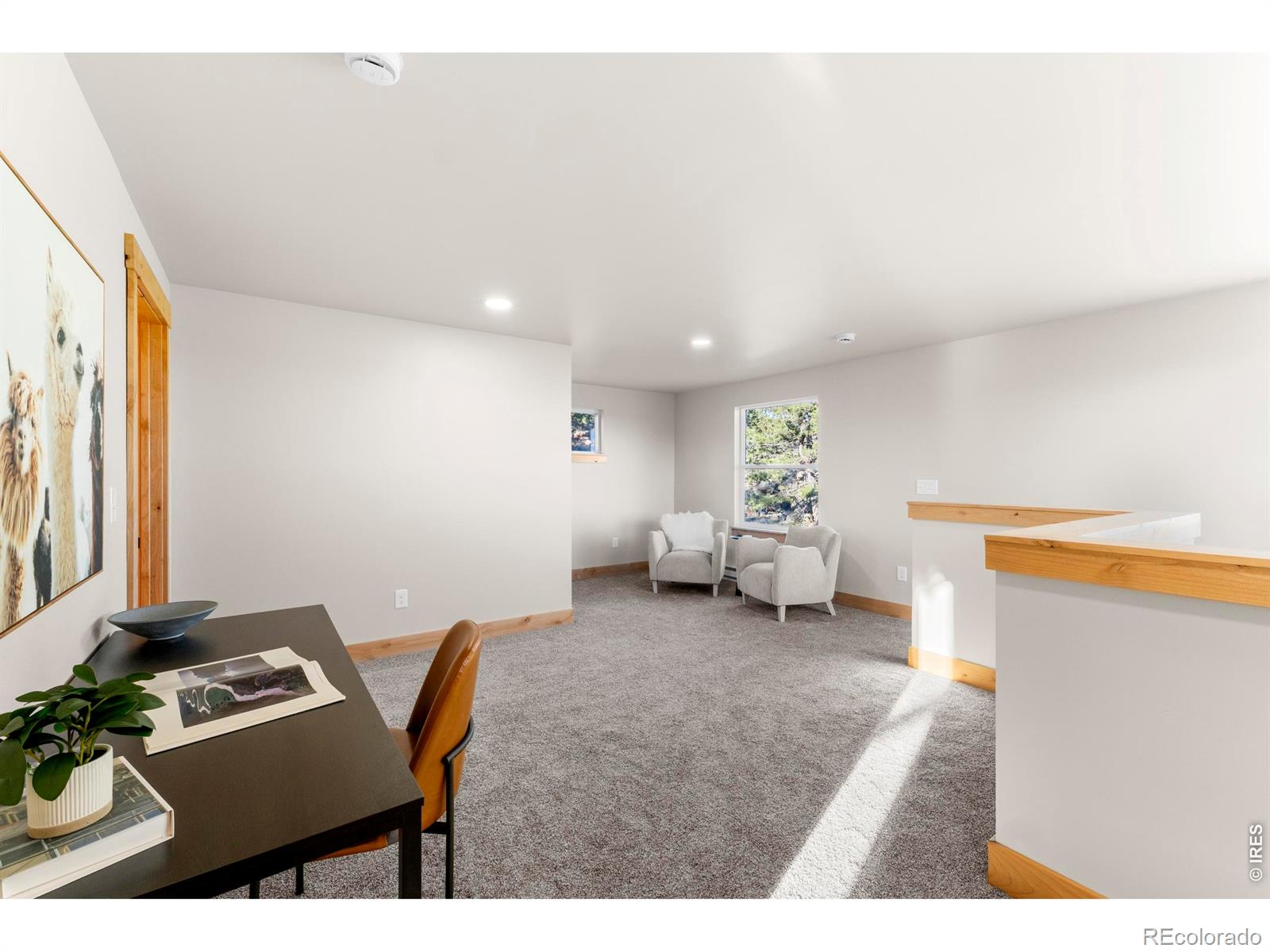 1074 Caddo Road Red Feather Lakes CO 80545