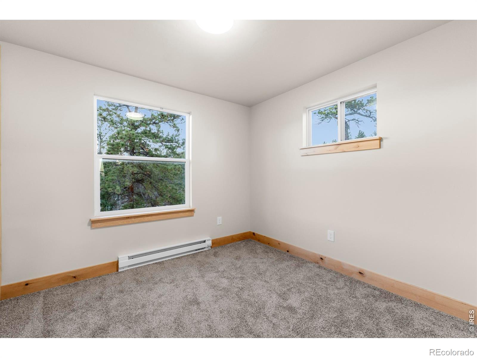1074 Caddo Road Red Feather Lakes CO 80545