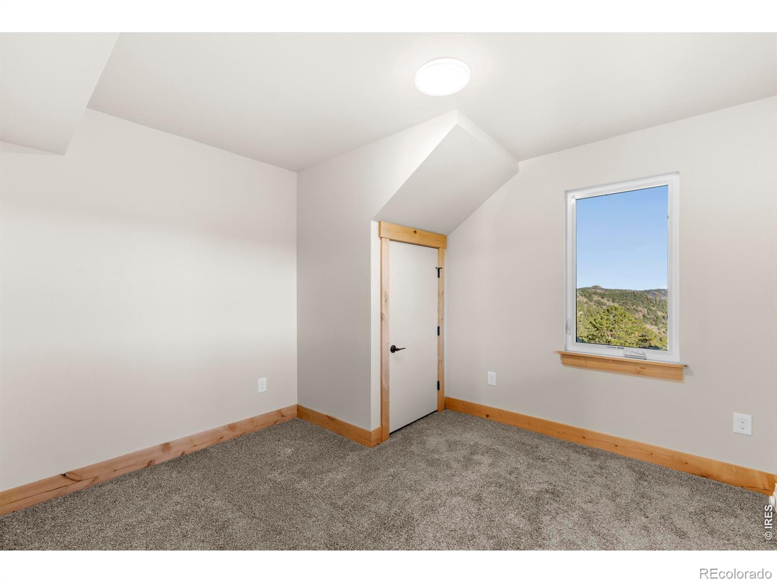 1074 Caddo Road Red Feather Lakes CO 80545