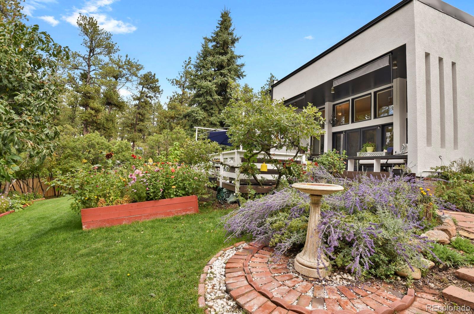 4693 Cheyenne Drive Larkspur CO 80118