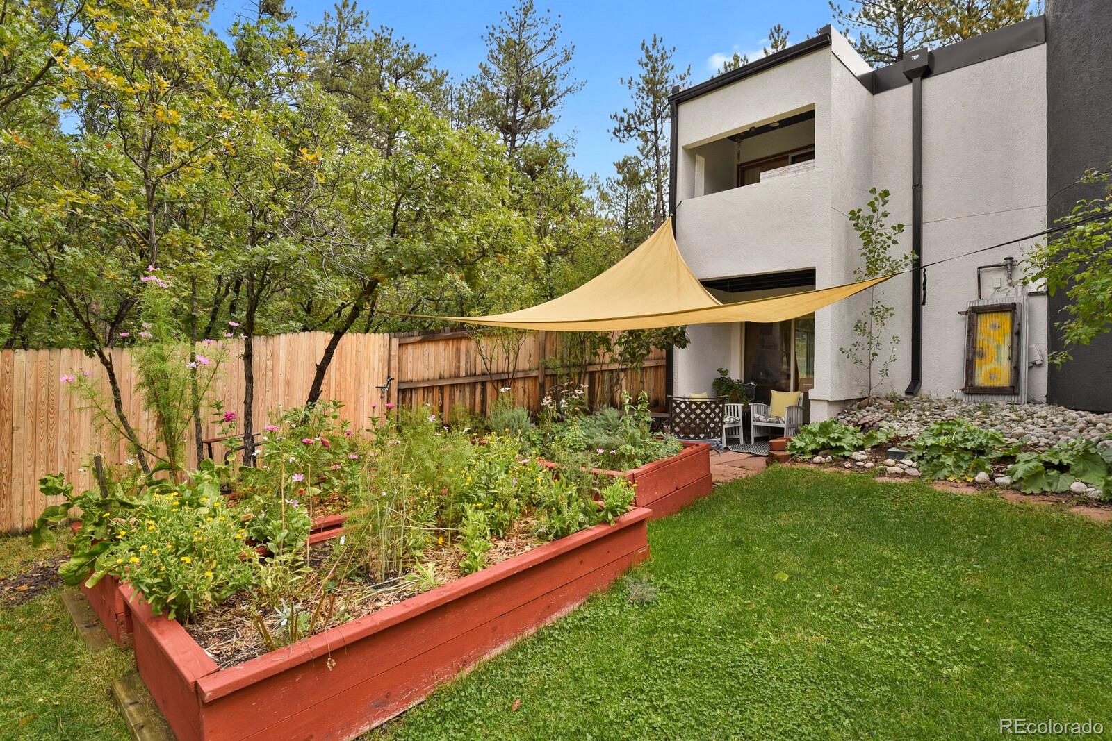 4693 Cheyenne Drive Larkspur CO 80118