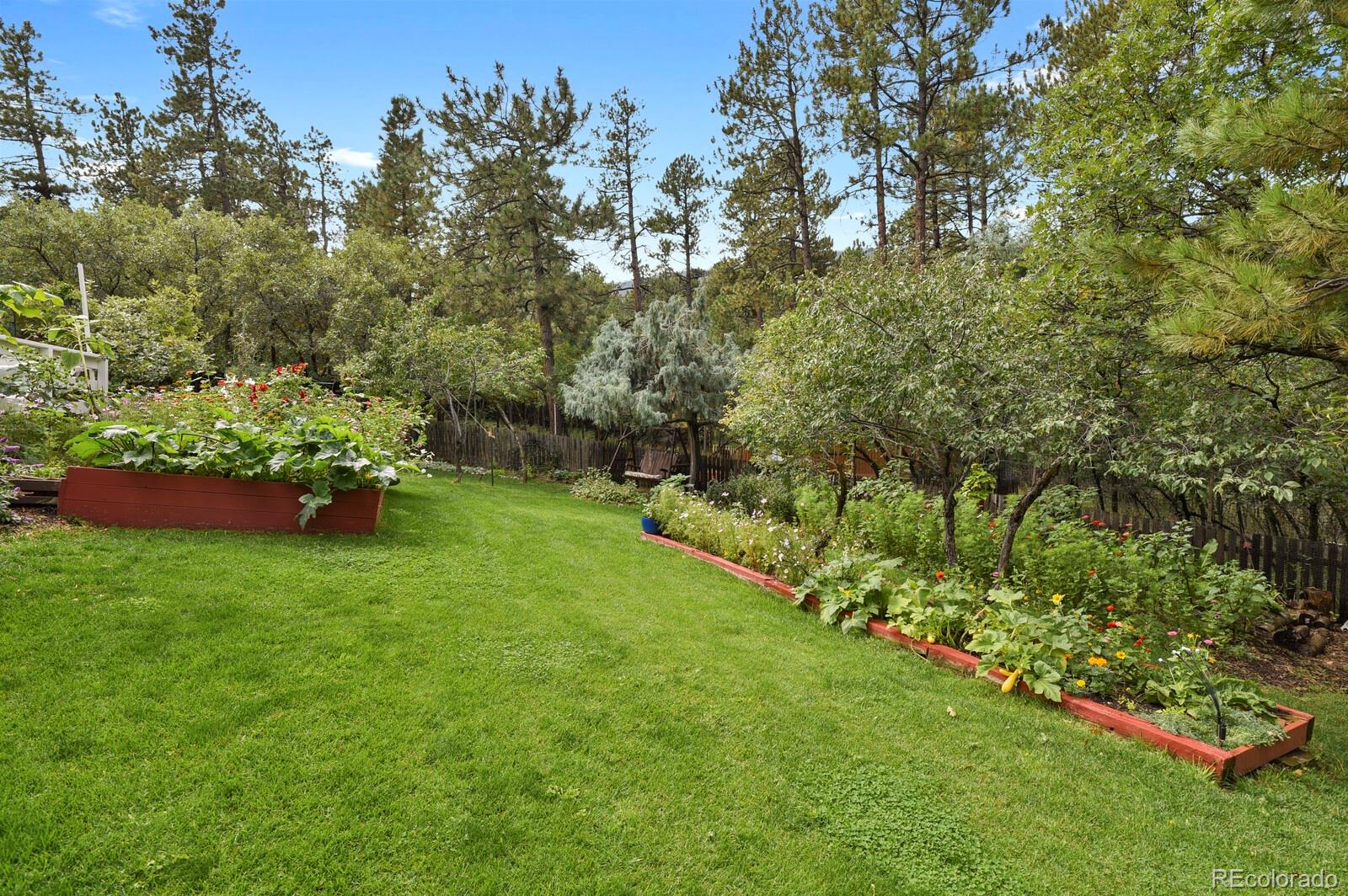 4693 Cheyenne Drive Larkspur CO 80118
