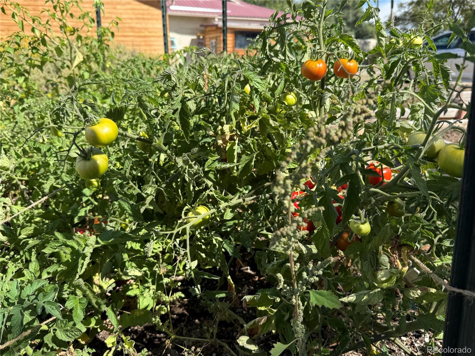 34562 State Highway 17 Antonito CO 81120