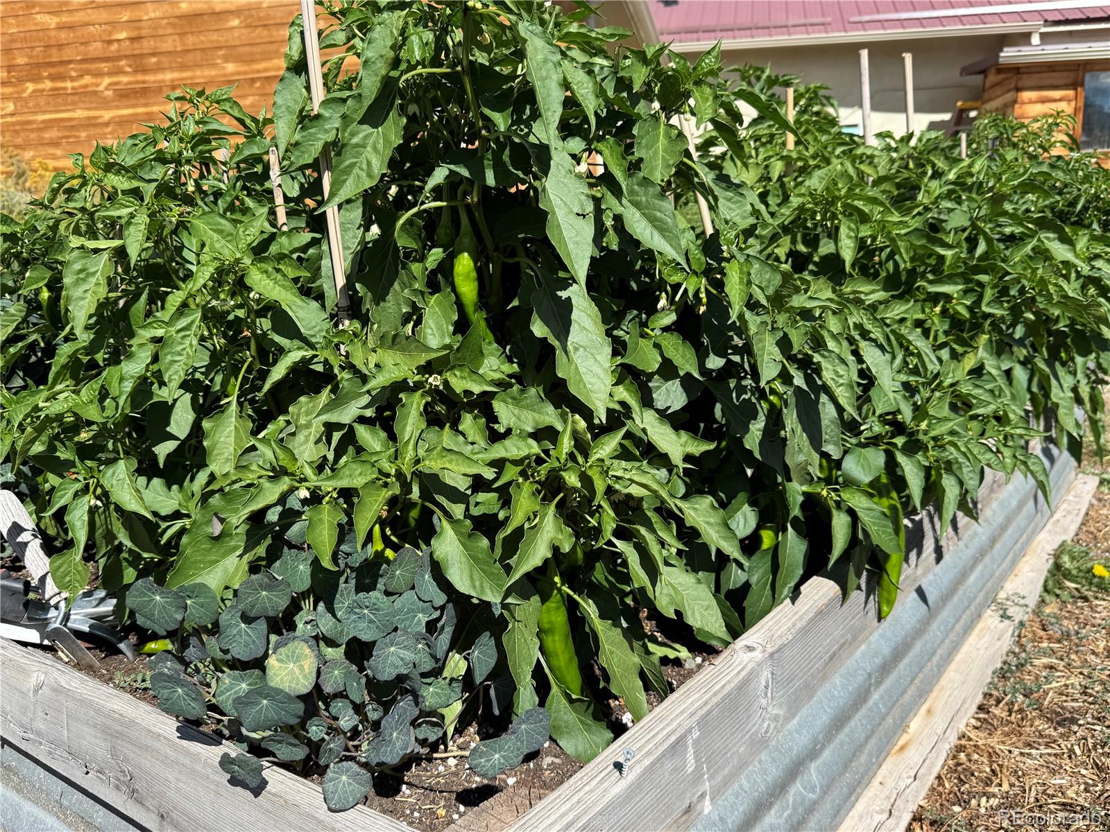 34562 State Highway 17 Antonito CO 81120