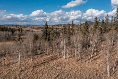 2387 Buffalo Ridge Road Como CO 80432